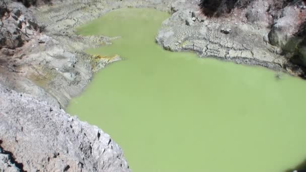 Yeni Zelanda toprak zemin üzerine sıcak su kaynakları Geysers yeşil su. — Stok video