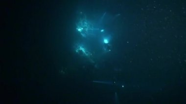 Kameraman arka planda sualtı Maldivler deniz fenerleri ile gece.