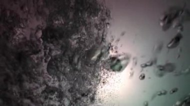 Güneş ışığı Maldivler sualtı net arka plan üzerinde kabarcıklar.