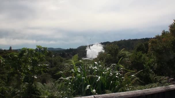 Las aguas termales de los géiseres sobre el fondo del bosque y el horizonte del cielo en Nueva Zelanda . — Vídeos de Stock