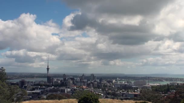Uitzicht op de stad vanaf de berg in Nieuw-Zeeland. — Stockvideo
