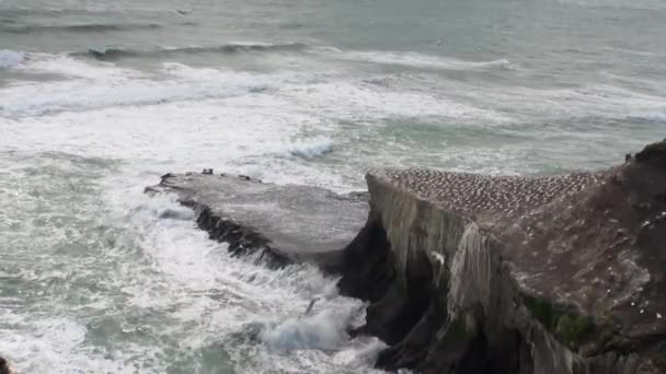 A paisagem marinha no fundo do horizonte, nuvens no céu e rochas Nova Zelândia . — Vídeo de Stock