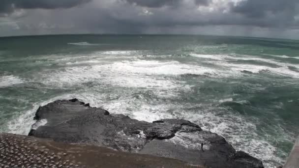 A paisagem marinha no fundo do horizonte, nuvens no céu e rochas Nova Zelândia . — Vídeo de Stock
