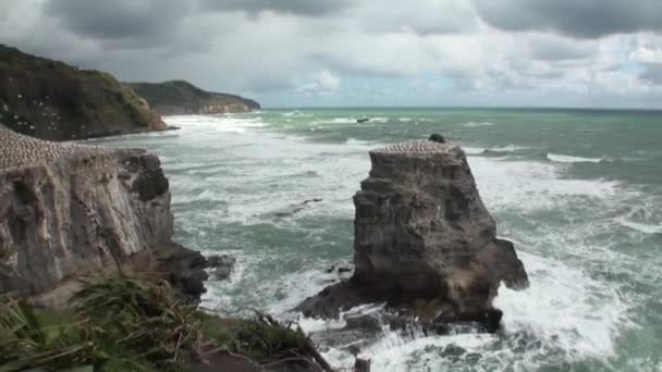 Seascape, háttérben a horizonton, felhők az égen, és a sziklák, Új-Zéland. — Stock videók