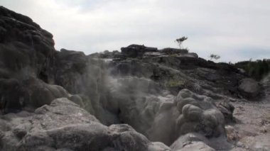 Orman ve gökyüzü ufukta Yeni Zelanda arka plan üzerinde Geysers Kaplıcalar.