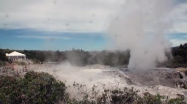 Orman ve gökyüzü ufukta Yeni Zelanda arka plan üzerinde Geysers Kaplıcalar.
