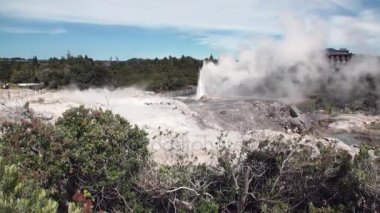 Orman ve gökyüzü ufukta Yeni Zelanda arka plan üzerinde Geysers Kaplıcalar.