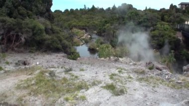 Orman ve gökyüzü ufukta Yeni Zelanda arka plan üzerinde Geysers Kaplıcalar.