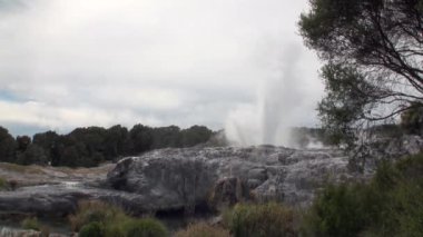 Orman ve gökyüzü ufukta Yeni Zelanda arka plan üzerinde Geysers Kaplıcalar.