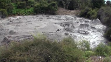 Yeni Zelanda'da arka plan üzerinde Geysers Kaplıcalar.