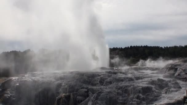 Geysers θερμές πηγές στο φόντο του δάσους και του ουρανού ορίζοντα στη Νέα Ζηλανδία. — Αρχείο Βίντεο