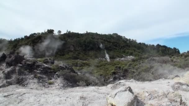 Orman ve gökyüzü ufukta Yeni Zelanda arka plan üzerinde Geysers Kaplıcalar. — Stok video