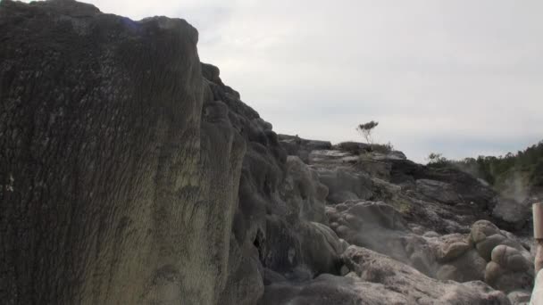 Geysers hot springs on background of forest and sky horizon in New Zealand. — Stock Video