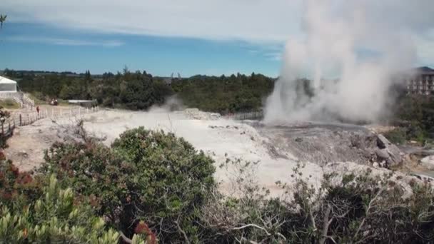 Geysers fontes termais no fundo da floresta e horizonte de céu na Nova Zelândia . — Vídeo de Stock