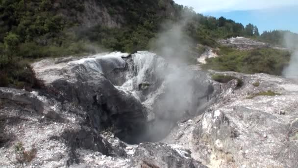 Sources chaudes Geysers sur fond de forêt et horizon du ciel en Nouvelle-Zélande . — Video