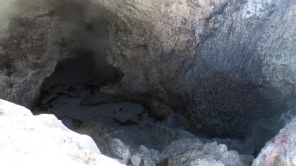 Geysers fontes termais na Nova Zelândia . — Vídeo de Stock