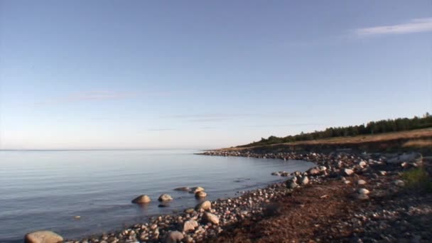 Берег и спокойная вода Белого моря . — стоковое видео