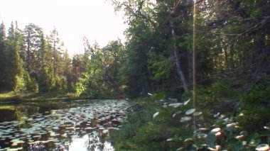 Karelya orman gölde gökyüzü arka plan üzerinde.