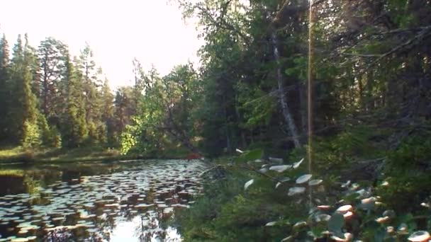 Waldsee in Karelien vor dem Hintergrund des Himmels. — Stockvideo