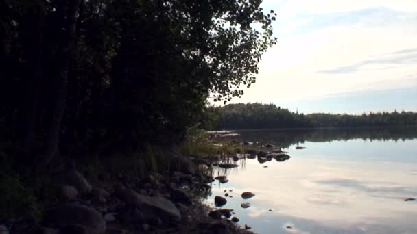 Ufer des weißen Meeres im Hintergrund des grünen Waldes. — Stockvideo