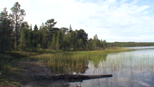 Russian church on shore of White Sea on background of forest and clouds in sky. — Stock Video