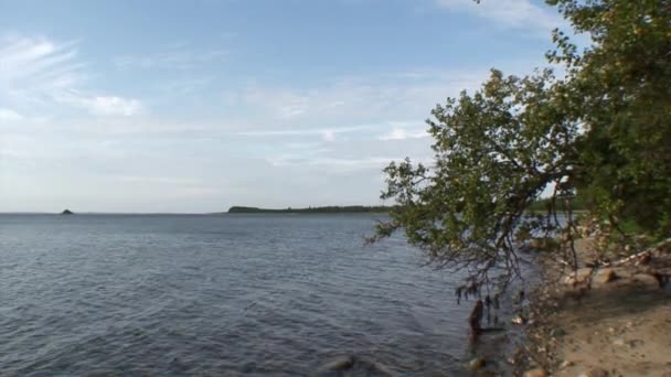 Берег и спокойная вода Белого моря . — стоковое видео