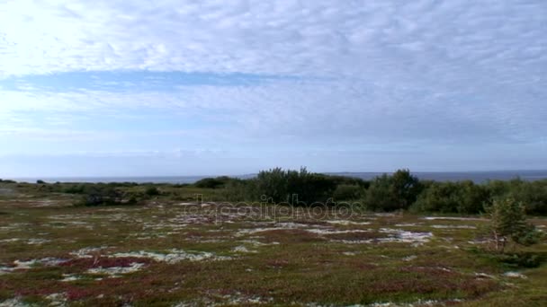 Unieke natuurlandschap van Karelië n achtergrond van blauwe lucht en de wolken. — Stockvideo