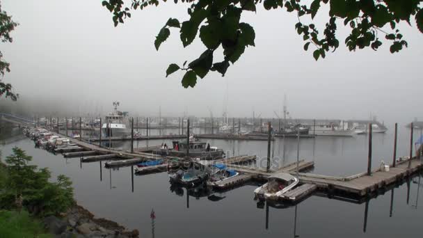 Jacht estakada na spokojnej wodzie Oceanu Spokojnego na tle wybrzeża w Sitka. — Wideo stockowe