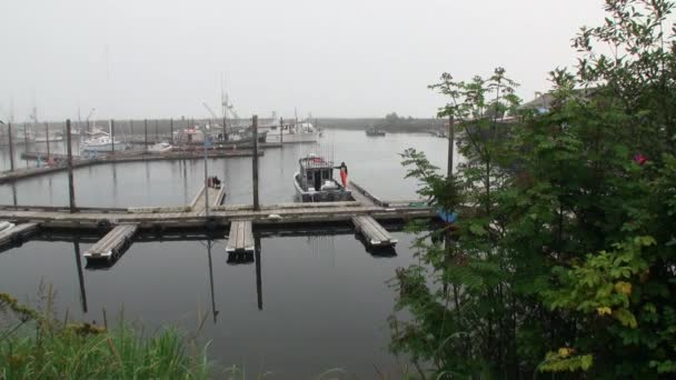 Jacht wharf op kalme water van de Stille Oceaan aan de kust van de achtergrond in Sitka. — Stockvideo