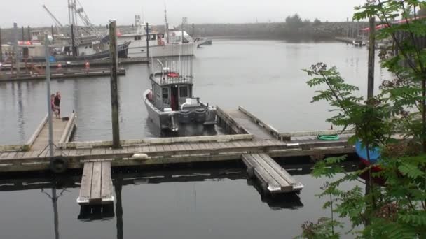 Yacht wharf on calm water of Pacific Ocean on background coast in Sitka. — Stock Video