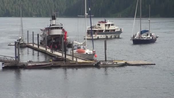 Jacht żegluje na spokojnej wodzie Oceanu Spokojnego na tle wybrzeża drogi na Alasce. — Wideo stockowe
