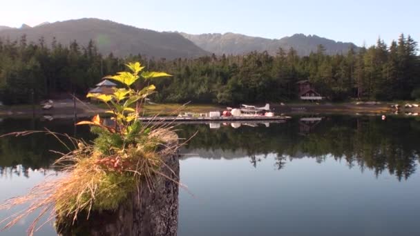 Seaplane hydroplane on parking water on background coast in Alaska. — Stock Video