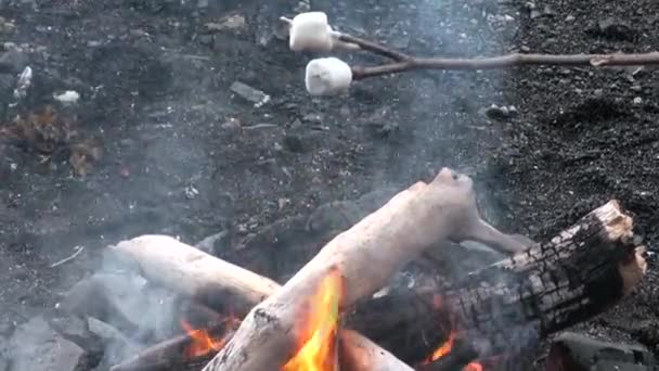 Marshmallow am Lagerfeuer in der Alaska braten. — Stockvideo