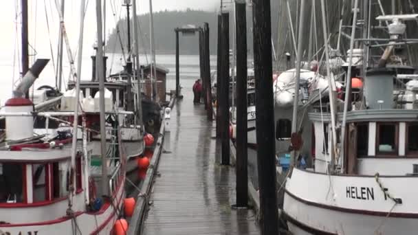 Yates muelle en el fondo del paisaje de aguas tranquilas del Océano Pacífico en Alaska . — Vídeos de Stock