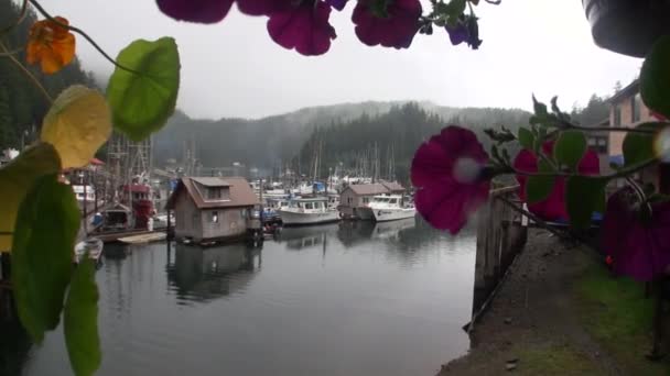 Yachten Bootsanlegestelle vor dem Hintergrund der Landschaft Wasser des Pazifischen Ozeans in Alaska. — Stockvideo