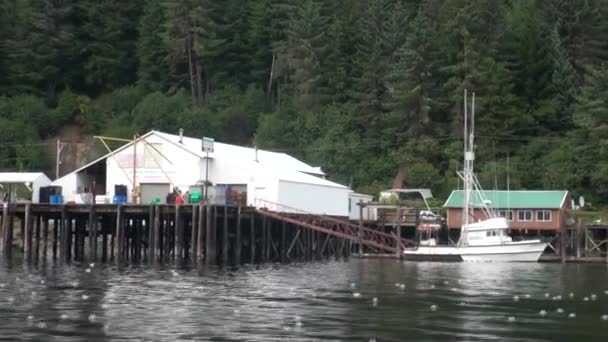 Boot aanmeren op achtergrond van landschap kalme water van de Stille Oceaan in Alaska. — Stockvideo