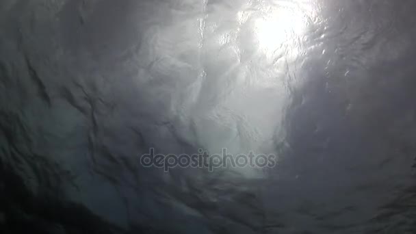 Lumière du soleil à travers la surface du fond de l'eau vue du bas dans la mer . — Video
