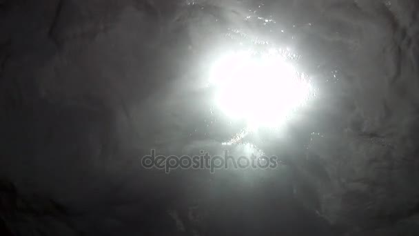 Luz solar através da superfície da vista inferior da água no mar . — Vídeo de Stock