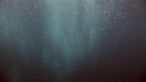 Bellen van water stijgen van de bodem onder water in zee. — Stockvideo