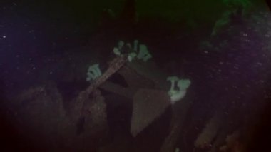 Alaska okyanus sualtı deniz dibinin üzerinde çöp.