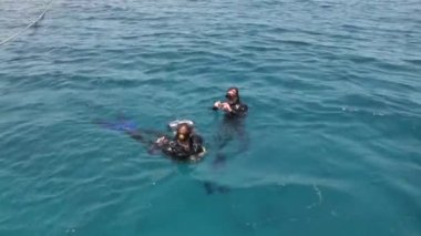Red Sea'deki/daki su dalgıç.