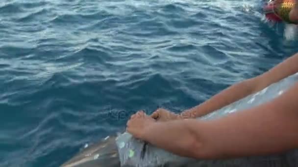 Gratis duiker model jurk een zeemeermin kostuum op schip in de buurt van water in de rode zee. — Stockvideo