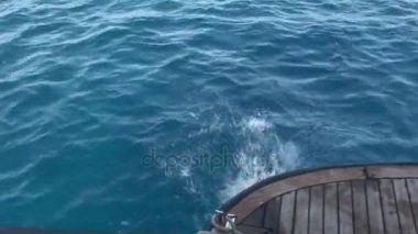 Ücretsiz dalgıç modeli deniz kızı dalışı gemisinden suya Red Sea'deki/daki yakın.