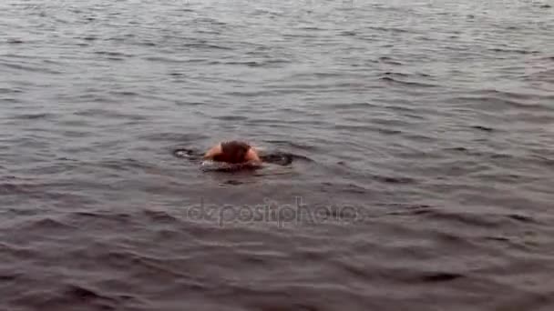 여자 다이 버 다이빙 수 중 홍 해에서 오리발. — 비디오