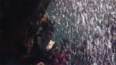 Genç kız modeli ücretsiz dalgıç su altında kırmızı kostüm korsan Red Sea'deki/daki.