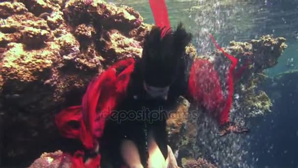Młoda dziewczyna model free nurek pod wodą w czerwony strój pirata w Morzu Czerwonym. — Wideo stockowe