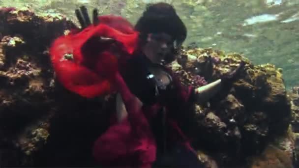 Young girl model free diver underwater in red costume of pirate in Red Sea. — Stock Video