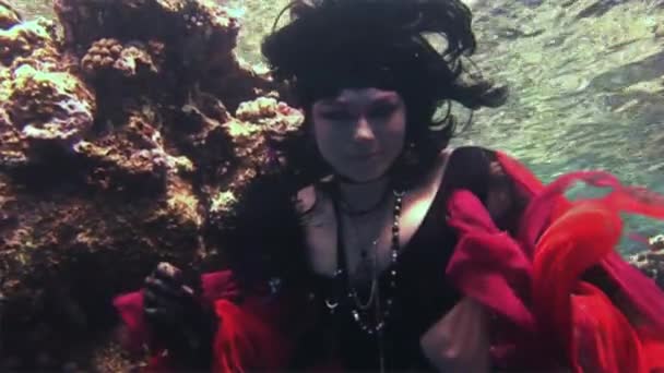 Fiatal lány modell szabad búvár víz alatti piros jelmez, kalóz, a Vörös-tenger. — Stock videók