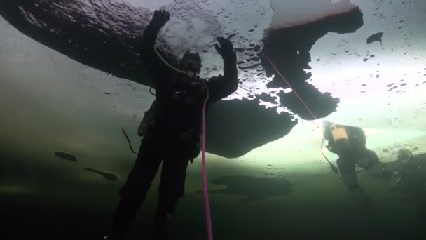 Duiker underwter in ijs van witte zee. — Stockvideo