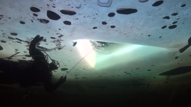 Diver underwter i isen vita havet. — Stockvideo